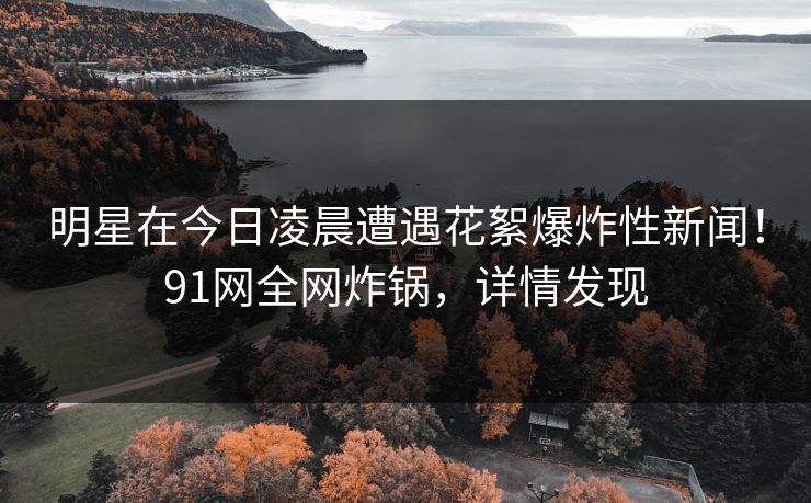 明星在今日凌晨遭遇花絮爆炸性新闻！91网全网炸锅，详情发现