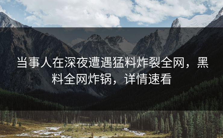 当事人在深夜遭遇猛料炸裂全网，黑料全网炸锅，详情速看