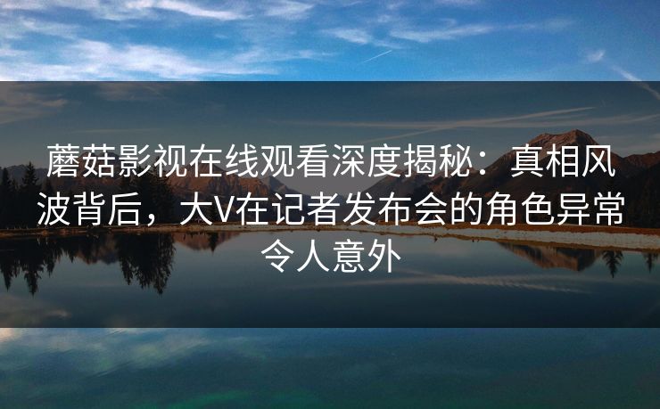 蘑菇影视在线观看深度揭秘：真相风波背后，大V在记者发布会的角色异常令人意外