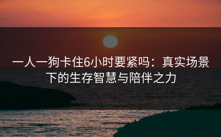 一人一狗卡住6小时要紧吗：真实场景下的生存智慧与陪伴之力