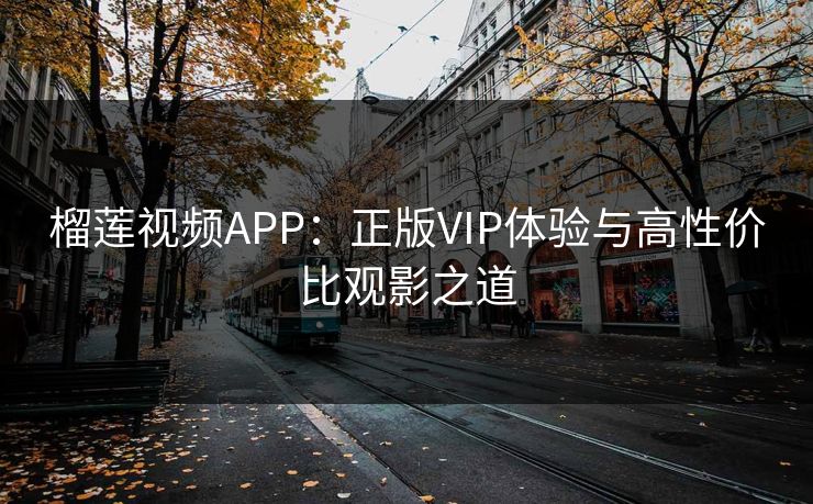 榴莲视频APP：正版VIP体验与高性价比观影之道