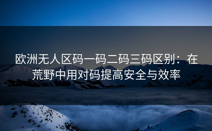 欧洲无人区码一码二码三码区别：在荒野中用对码提高安全与效率