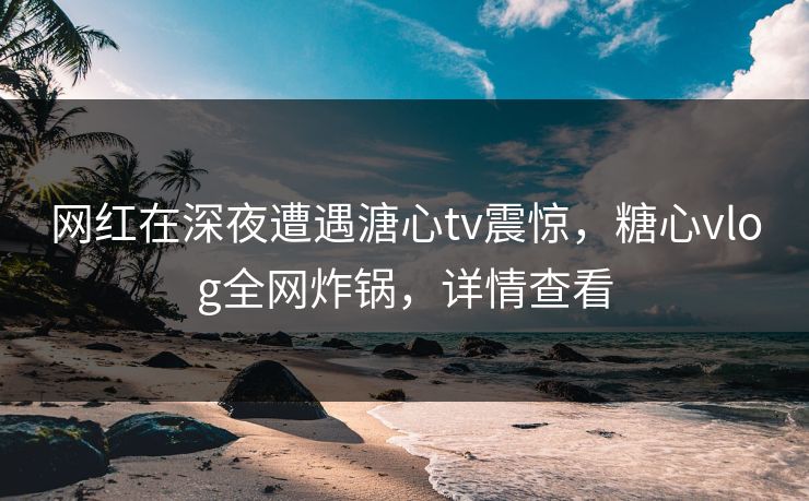网红在深夜遭遇溏心tv震惊，糖心vlog全网炸锅，详情查看