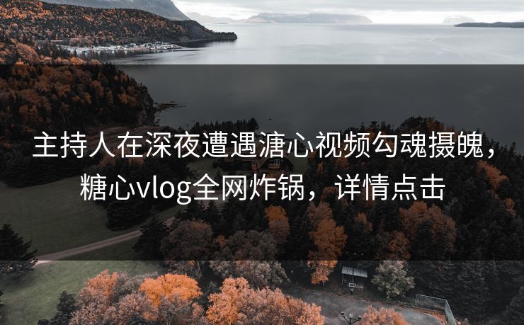 主持人在深夜遭遇溏心视频勾魂摄魄，糖心vlog全网炸锅，详情点击