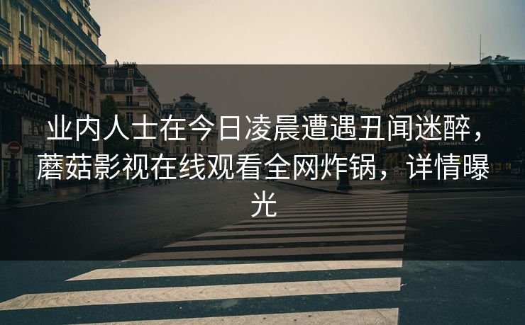 业内人士在今日凌晨遭遇丑闻迷醉，蘑菇影视在线观看全网炸锅，详情曝光