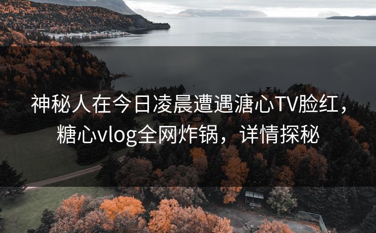 神秘人在今日凌晨遭遇溏心TV脸红，糖心vlog全网炸锅，详情探秘